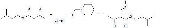 Butanoic acid,3-oxo-,3-methylbutyl ester can be used to produce 2-Methylsulfanylmethyl-3-oxo-butyric acid 3-methyl-butyl ester.